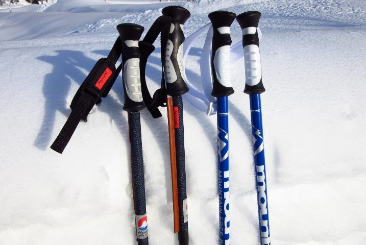 激安！コスパ最高のスキーストックランキングTOP10 | スノーボード 