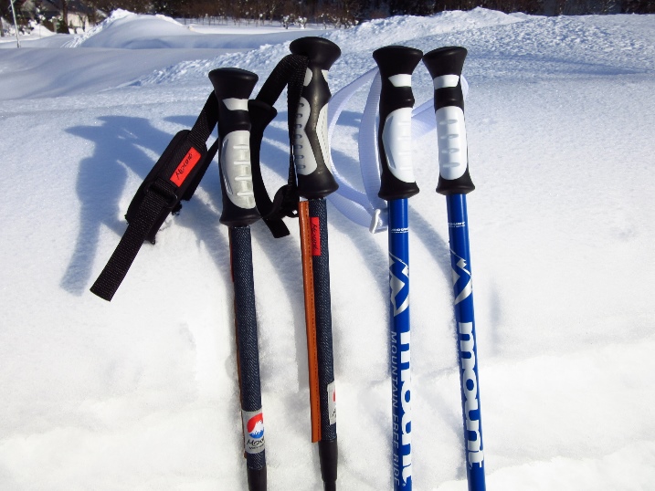 激安！コスパ最高のスキーストックランキングTOP10 | スノーボード・スキー用品の紹介【SNOW GOODS】